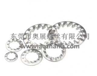 內齒墊圈